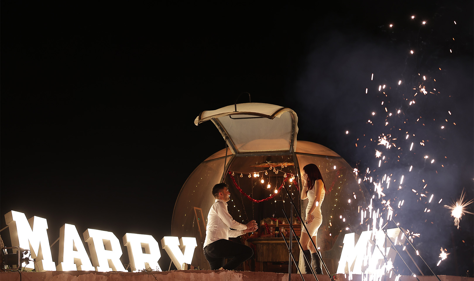 Fanus Evlilik Teklifi Konsepti 1