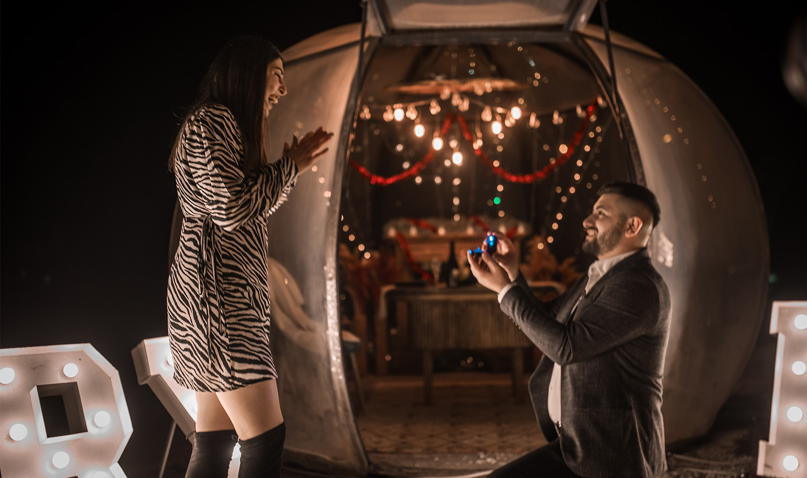 Fanus Evlilik Teklifi Konsepti 3